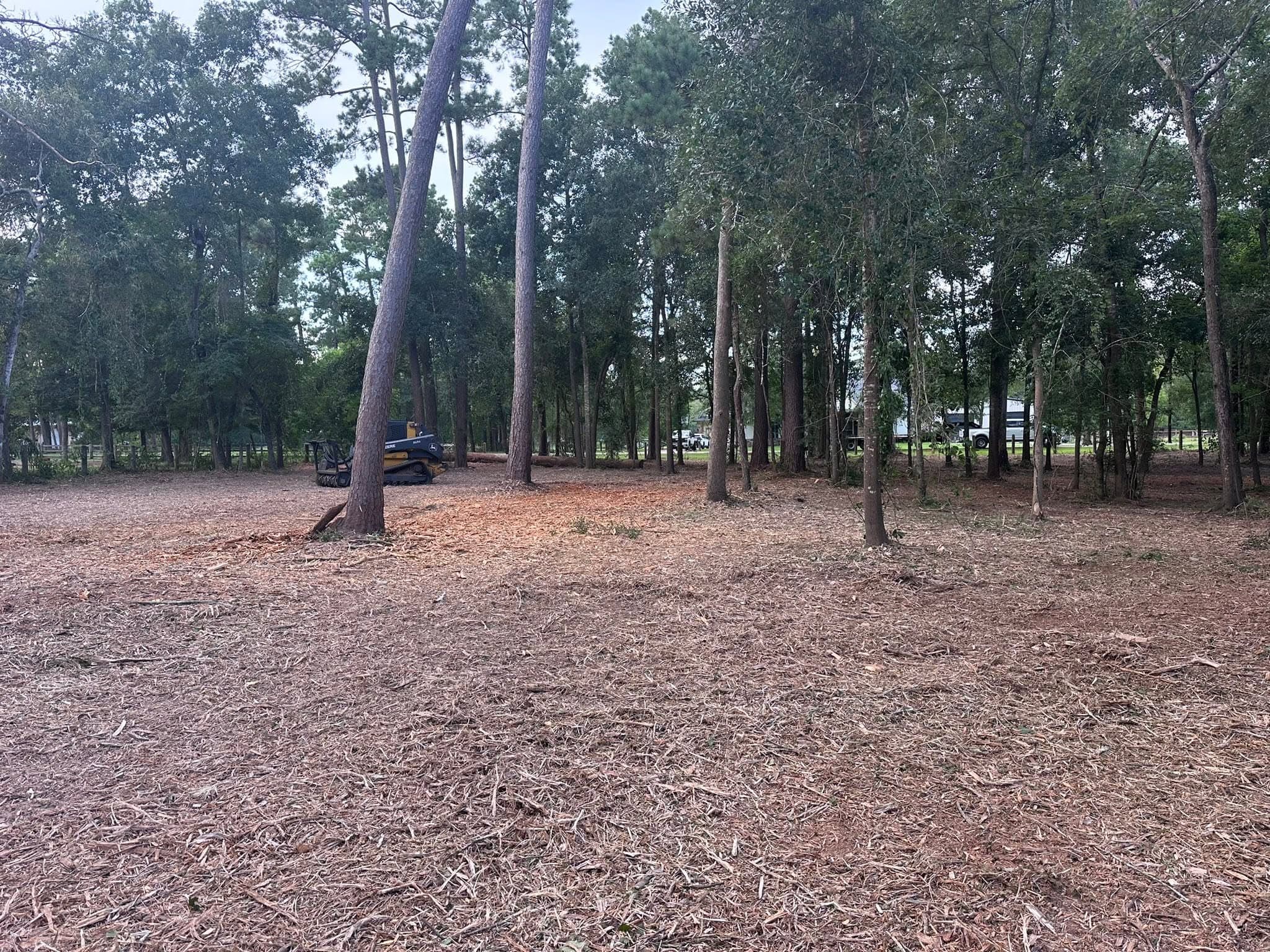 Cleared lot with mulcher after forestry mulching