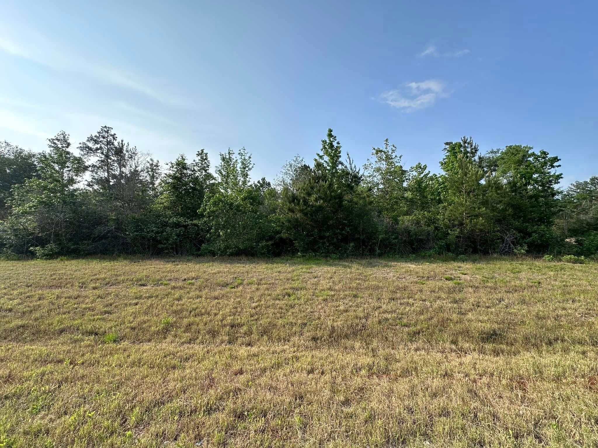 Wooded fence line before property clearing